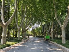 -郑州植物园