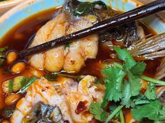 -费明中罗非鱼(大石坝店)