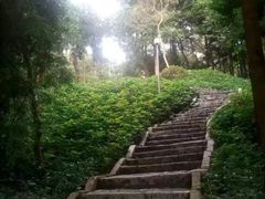 -炮台山公园