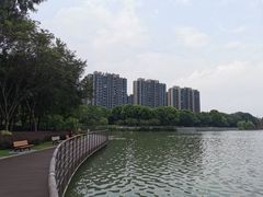 -南翔镇银翔湖公园