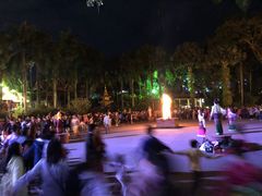 -澜沧江湄公河之夜歌舞篝火晚会