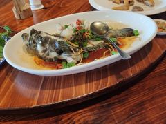 -顺德了能馆(虎门店)