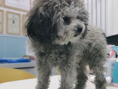 -纳吉亚猫专科动物医院·北北分院