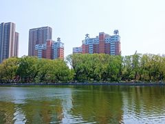 -沈阳南湖公园