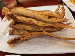 -鸢飞潍坊菜馆(鸢飞大酒店)