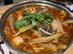 红汤羊杂-蒙料·手把肉(望京店)