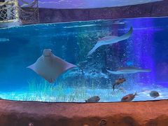 -沈阳海洋探索中心