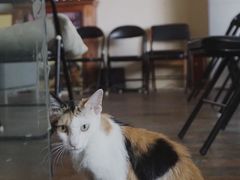 -麦田书店(国防路店)