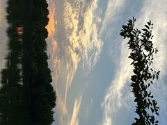 -贡湖湾湿地公园