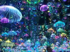 -上海梵高星空艺术馆(南京路旗舰店)