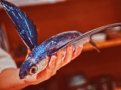 -镹·鱼料理  国产鱼使用店