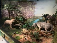 -湖南省地质博物馆