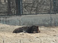 -秦皇岛野生动物园