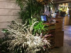 -春暖花开(西溪店)