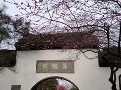 -杭州植物园