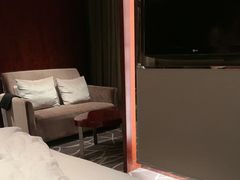 -常州环球恐龙城维景国际大酒店
