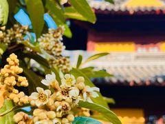-龙华寺