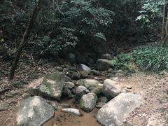 -火炉山森林公园