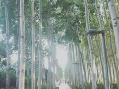 -仁和公园(顺义区)