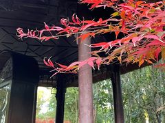 -成都杜甫草堂博物馆