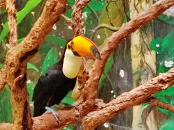 -Zoolung Zoolung动物主题公园(海信广场店)