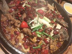 -老板恋上鱼(高新万达店)