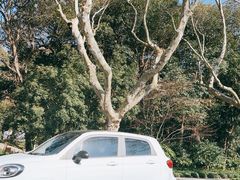 -西湖游船