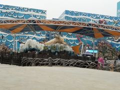 -华夏文旅海洋公园