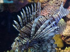 -上海海洋水族馆