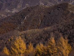 -灵山