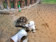 -华夏文旅海洋公园