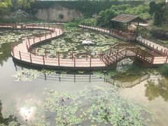 -珠海圆明新园
