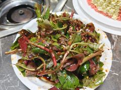 -丁月玉兔王(大渡口店)