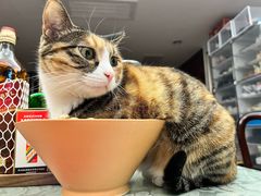 -新荟城(望京店)