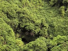 -海口火山口国家地质公园