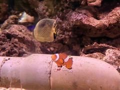 -大连老虎滩海洋公园