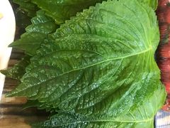 -齐齐哈尔兄弟烤肉(湖山美地店)