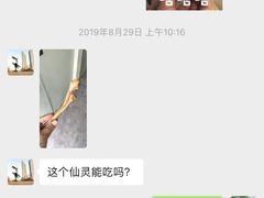 -柚子宠物(伊珊娜调理店)
