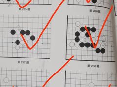 -智韵素养黎明练字(莘庄校区)