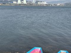 -阳宗海湿地
