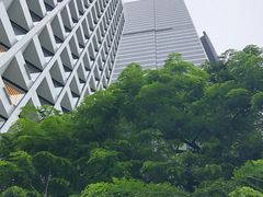 -尼依格罗香港美利酒店