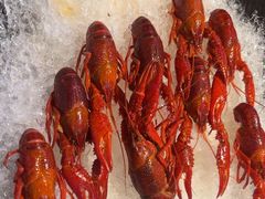 -舞虾小说.涮肉.烧烤(国顺东路店)