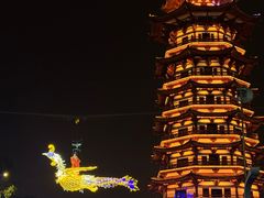 -洋湖国家湿地公园