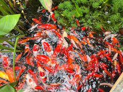 -一品烧农庄·佛山本地特色菜