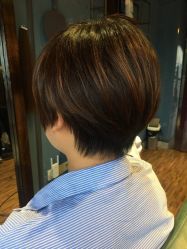 点击看大图 -藤野造型