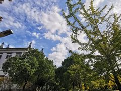 -上海财经大学(国定路校区)