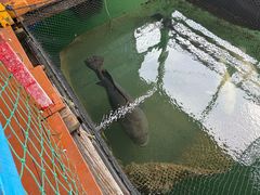-蓝湾碧波·老字号·疍家非遗海上餐厅