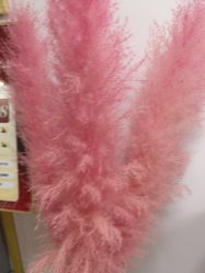 -变美丽半永久纹眉连锁·机器野生眉•洗眉