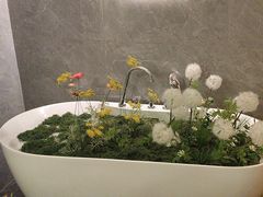 -小仙女采耳·按摩·SPA(深圳旗舰店)