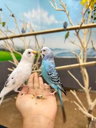 -未来动物城主题公园(正弘城店)